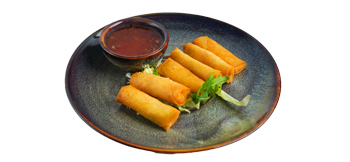 MINI FRÜHLINGSROLLE